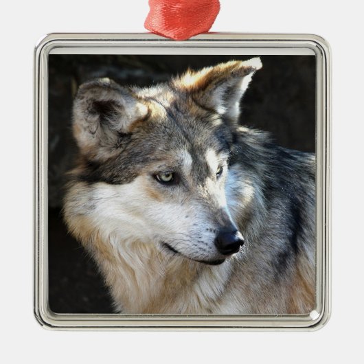 Mexican Gray Wolf Metalen Ornament (Voorkant)