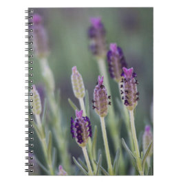 Mexican Lavender Notitieboek
