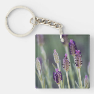 Mexican Lavender Sleutelhanger