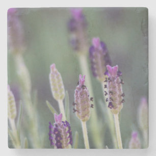 Mexican Lavender Stenen Onderzetter