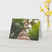 Mexican Palm Tree From Below Kaart (Gele Bloem)