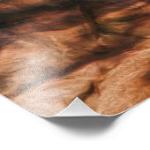 MEXICAN RED WOLF DESERT TREK FOTO AFDRUK (Hoek)