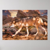 MEXICAN RED WOLF DESERT TREK POSTER (Voorkant)