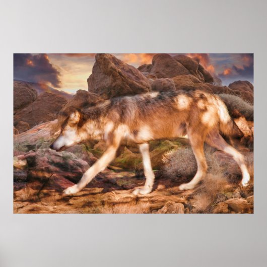 MEXICAN RED WOLF DESERT TREK POSTER (Voorkant)