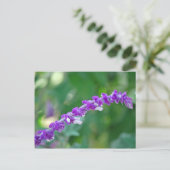 Mexican Sage Briefkaart (Staand voorkant)