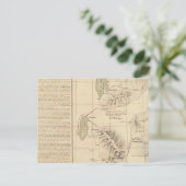 Mexico 47 briefkaart (Staand voorkant)