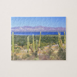 Mexico, Baja California Sur, Cardon Cactus bij Legpuzzel
