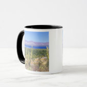 Mexico, Baja California Sur, Cardon Cactus bij Mok (Voorkant links)