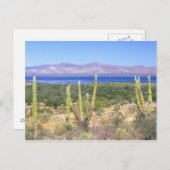 Mexico, Baja California Sur, Cardon Cactus op Briefkaart (Voorkant / Achterkant)