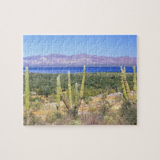 Mexico, Baja California Sur, Cardon Cactus op Legpuzzel (Horizontaal)