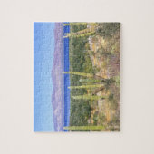 Mexico, Baja California Sur, Cardon Cactus op Legpuzzel (Verticaal)