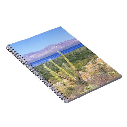 Mexico, Baja California Sur, Cardon Cactus op Notitieboek (Rechterzijde)