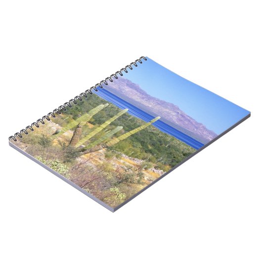 Mexico, Baja California Sur, Cardon Cactus op Notitieboek (Linkerzijde)