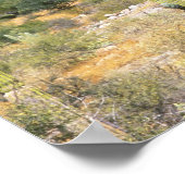 Mexico, Baja California Sur, Cardon Cactus op Poster (Hoek)