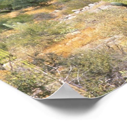 Mexico, Baja California Sur, Cardon Cactus op Poster (Hoek)