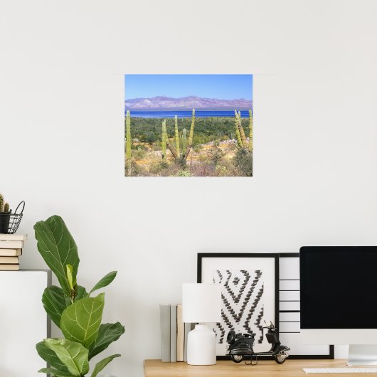 Mexico, Baja California Sur, Cardon Cactus op Poster (Thuiskantoor)