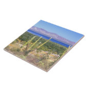 Mexico, Baja California Sur, Cardon Cactus op Tegeltje (Zijkant)