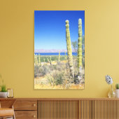 Mexico, Baja California Sur, Mulege, Baai Canvas Afdruk (Insitu (Woonkamer))