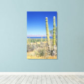 Mexico, Baja California Sur, Mulege, Baai Canvas Afdruk (Insitu (Houten vloer))