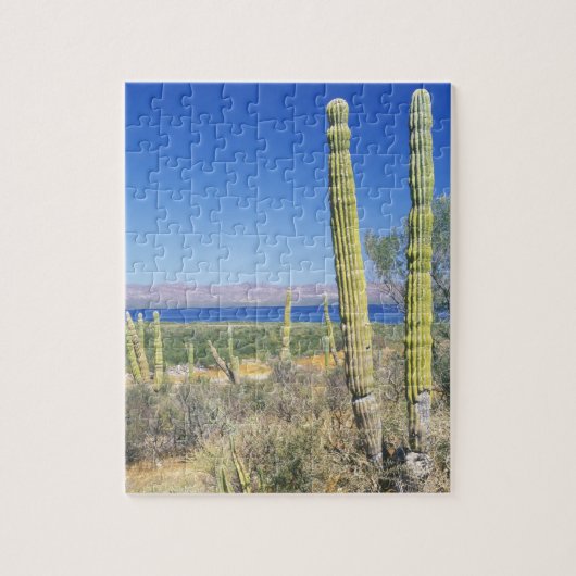 Mexico, Baja California Sur, Mulege, Baai Legpuzzel (Verticaal)
