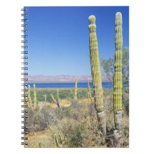 Mexico, Baja California Sur, Mulege, Baai Notitieboek