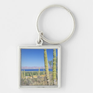 Mexico, Baja California Sur, Mulege, Baai Sleutelhanger