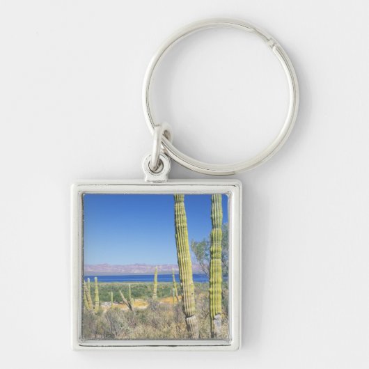 Mexico, Baja California Sur, Mulege, Baai Sleutelhanger (Voorkant)