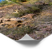 Mexico, Baja California Sur, Mulege, Bahia 2 Poster (Hoek)