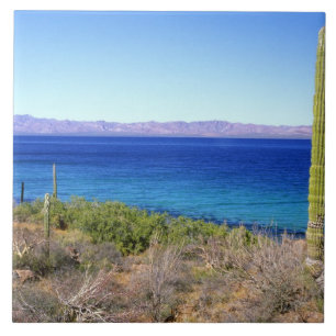 Mexico, Baja California Sur, Mulege, Bahia 2 Tegeltje