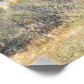 Mexico, Baja California Sur, Mulege, Bahia Poster (Hoek)