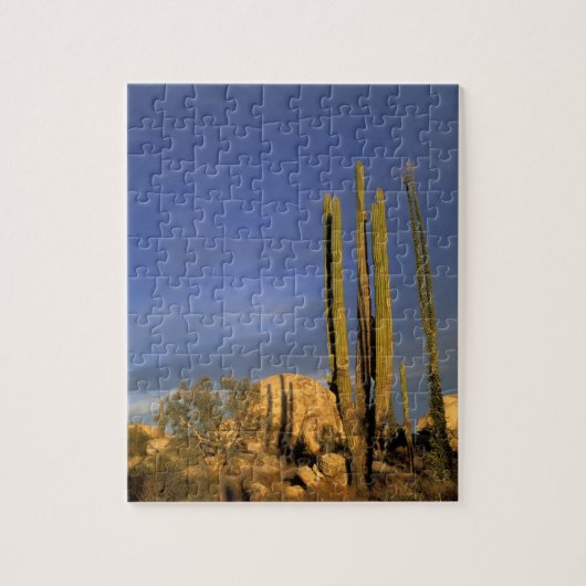 Mexico, Baja del Norte, Catavina Desert National Legpuzzel (Verticaal)