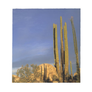 Mexico, Baja del Norte, Catavina woestijn nationaa Notitieblok