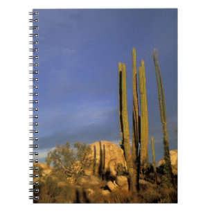 Mexico, Baja del Norte, Catavina woestijn nationaa Notitieboek