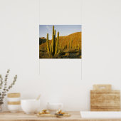 Mexico, Baja, eiland Santa Catalina, zee Poster (Keuken)