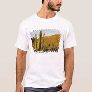 Mexico, Baja, Santa Catalina-eiland, Zee van T-shirt