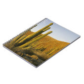 Mexico, Baja, Santa Catalina, Zee van Notitieboek (Linkerzijde)