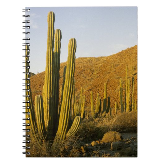 Mexico, Baja, Santa Catalina, Zee van Notitieboek (Voorkant)