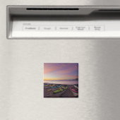 Mexico, Baja, Sea of Cortez. Sea kayaks and Magneet (Insitu (Vaatwasser))