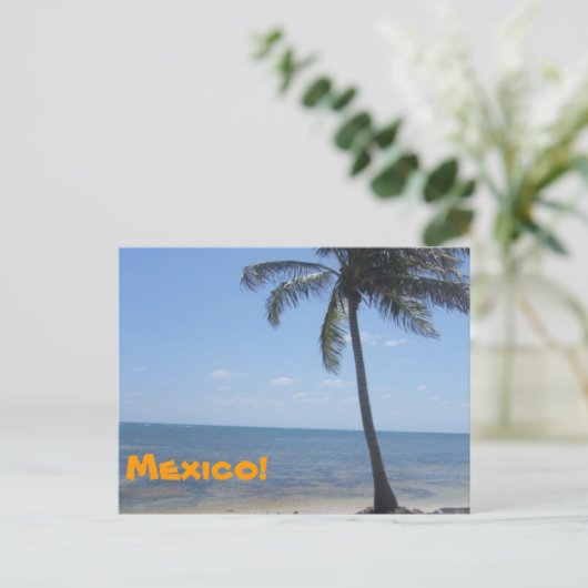 Mexico Briefkaart (Staand voorkant)