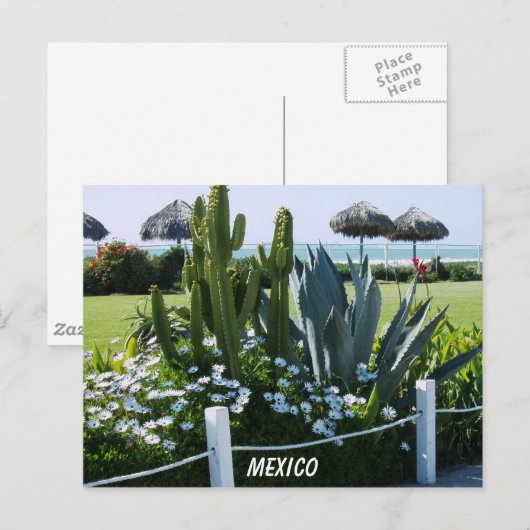 MEXICO BRIEFKAART (Voorkant / Achterkant)