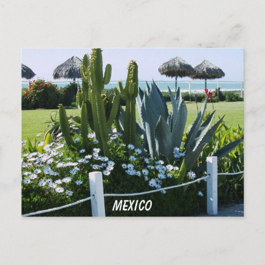 MEXICO BRIEFKAART (Voorkant)