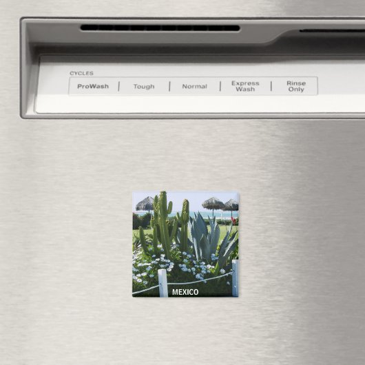 MEXICO CACTUSSEN MAGNEET (Insitu (Vaatwasser))