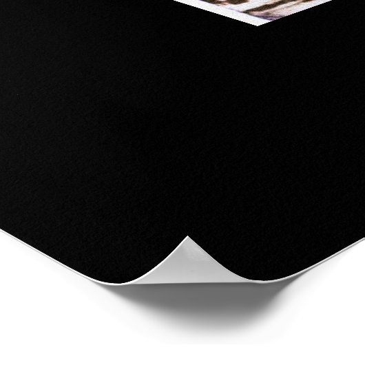 Mexico City 1946 Poster (Hoek)