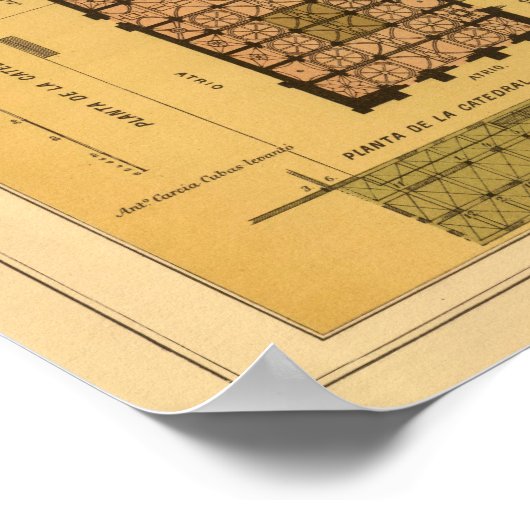 Mexico City 2 Poster (Hoek)