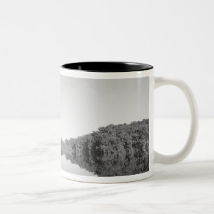 Mexico, CONANP parkeren woerpatrouilles met zijn z Tweekleurige Koffiemok