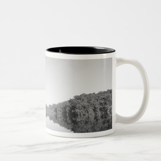 Mexico, CONANP parkeren woerpatrouilles met zijn z Tweekleurige Koffiemok (Rechts)