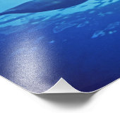 Mexico, Cozumel. Dolfijn met flensoren, Tursiops Foto Afdruk (Hoek)