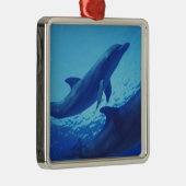 Mexico, Cozumel. Dolfijn met flensoren, Tursiops Metalen Ornament (Rechts)