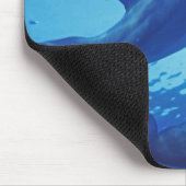 Mexico, Cozumel. Dolfijn met flensoren, Tursiops Muismat (Hoek)