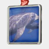 Mexico, Cozumel. Dolfine met flensoren, Tursiops 2 Metalen Ornament (Links)